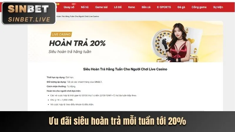 Tổng quan các cấp độ VIP tại betcom888 casino